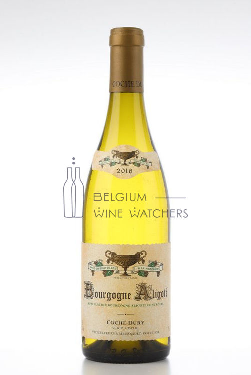 Image de 2016 BOURGOGNE ALIGOTE